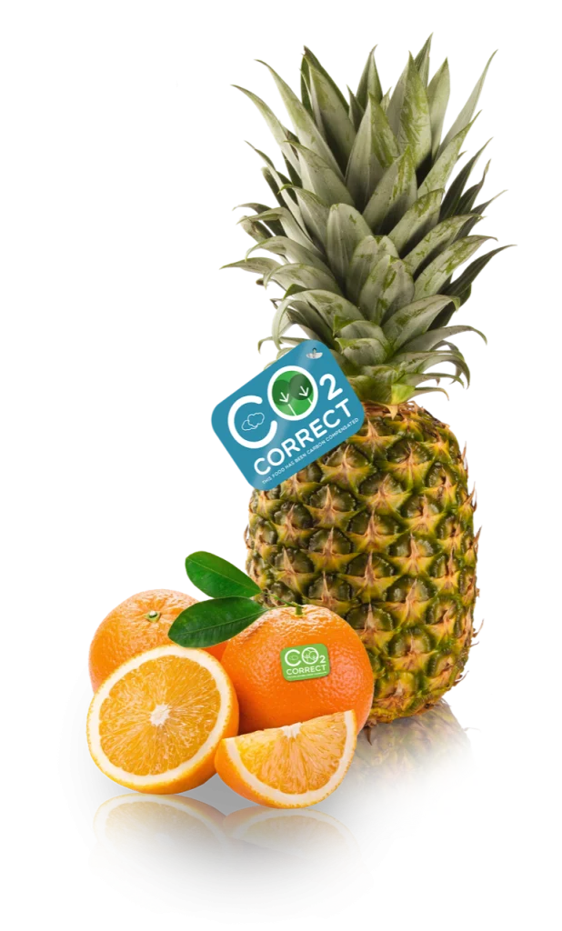 pinapple